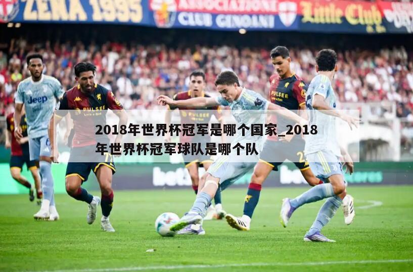 2018年世界杯冠军是哪个国家_2018年世界杯冠军球队是哪个队