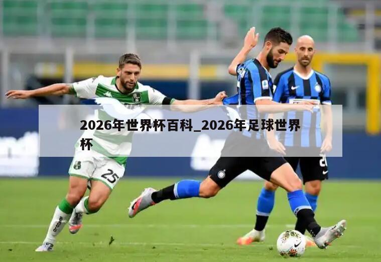 2026年世界杯百科_2026年足球世界杯