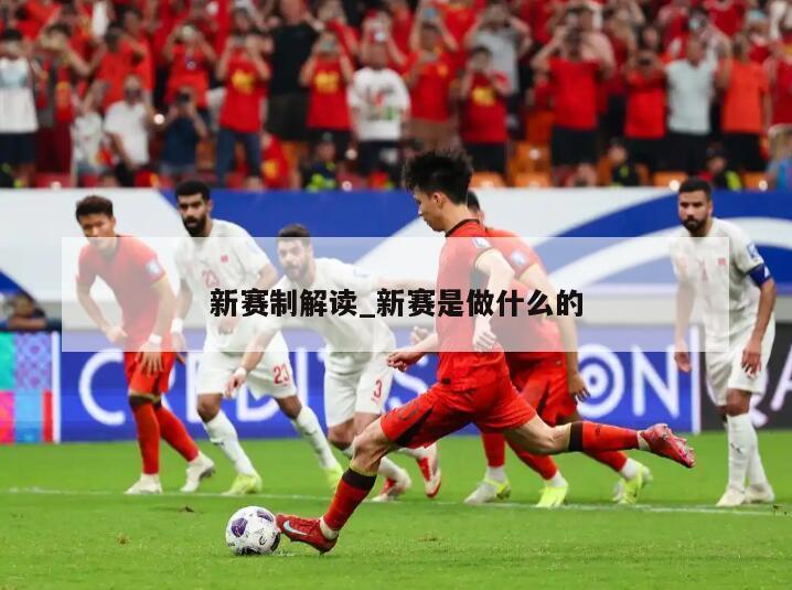 新赛制解读_新赛是做什么的
