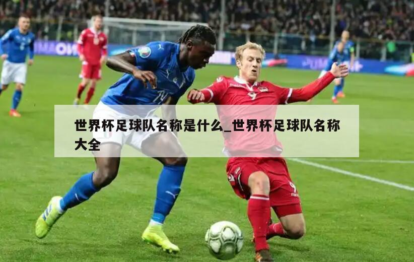 世界杯足球队名称是什么_世界杯足球队名称大全