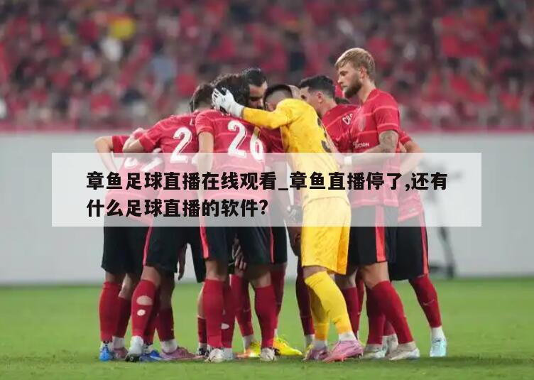 章鱼足球直播在线观看_章鱼直播停了,还有什么足球直播的软件?