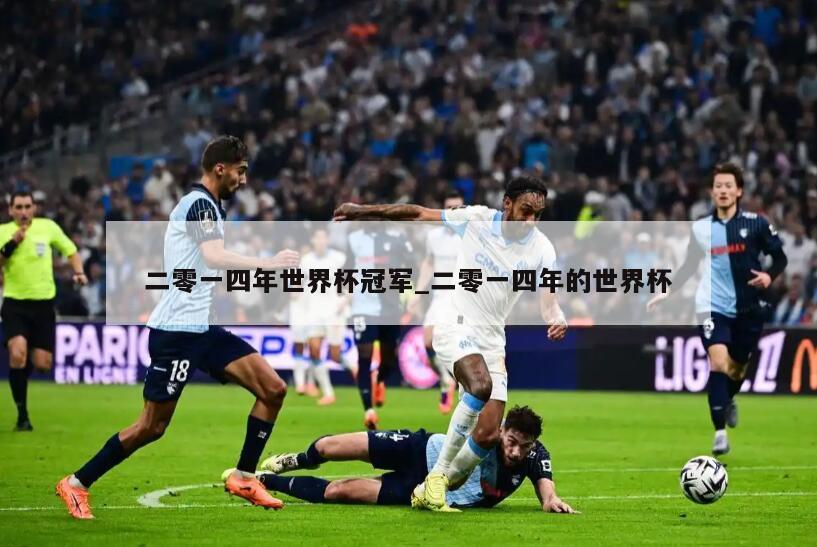 二零一四年世界杯冠军_二零一四年的世界杯