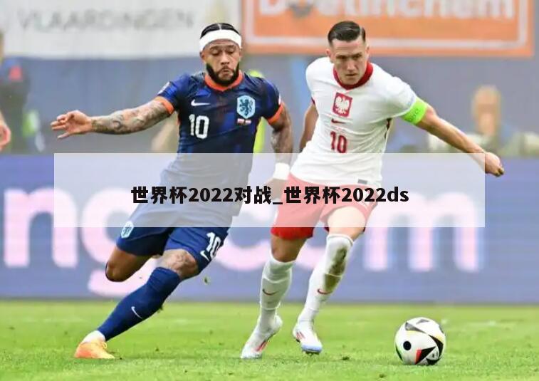 世界杯2022对战_世界杯2022ds