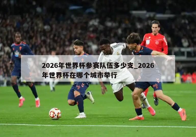 2026年世界杯参赛队伍多少支_2026年世界杯在哪个城市举行