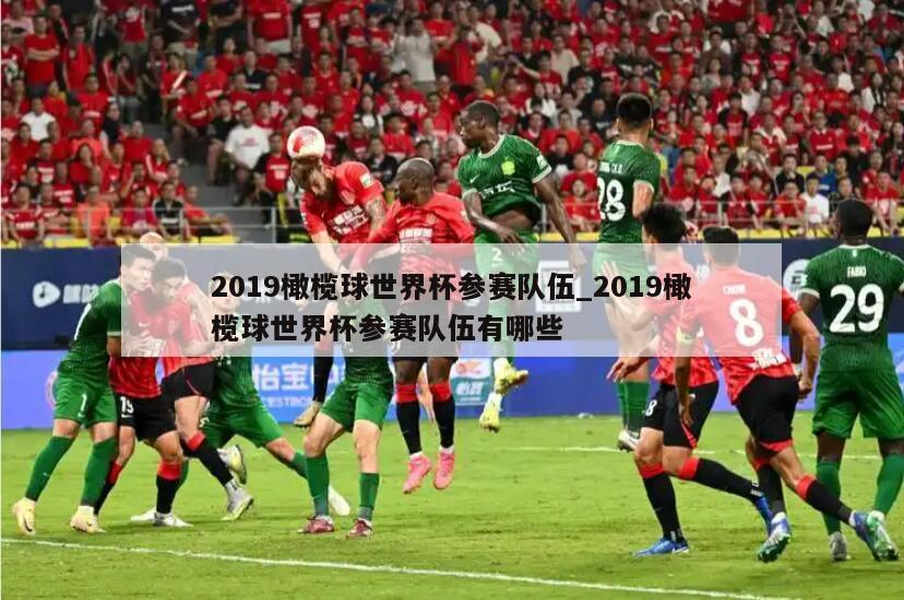 2019橄榄球世界杯参赛队伍_2019橄榄球世界杯参赛队伍有哪些