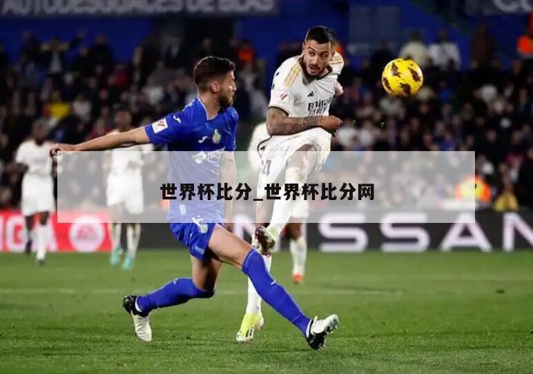 世界杯比分_世界杯比分网